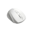 Canyon 6 buttons wireless 2.4Ghz mouse, MX8650A Sensor, DPI up to 1600,Injection case, 3 M life times left and right switches, 2xAAA battery, ABS material, Size: 105x71x40mm, Weight: 59g, white