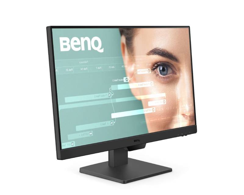 BENQ 23.8 inča GW2490 FHD 1920x1080 IPS 100 Hz